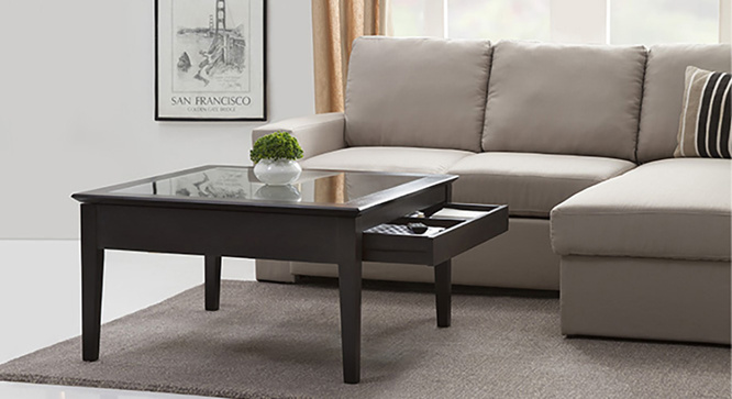 Sata Display Coffee Table(Mahogany)